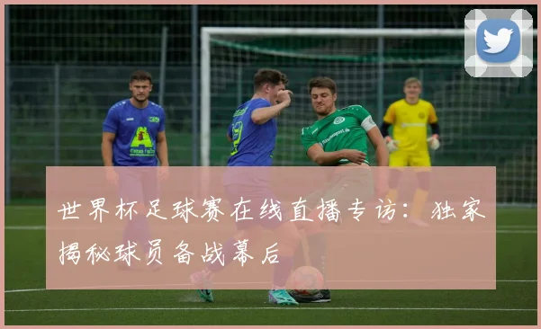 世界杯足球赛在线直播专访：独家揭秘球员备战幕后