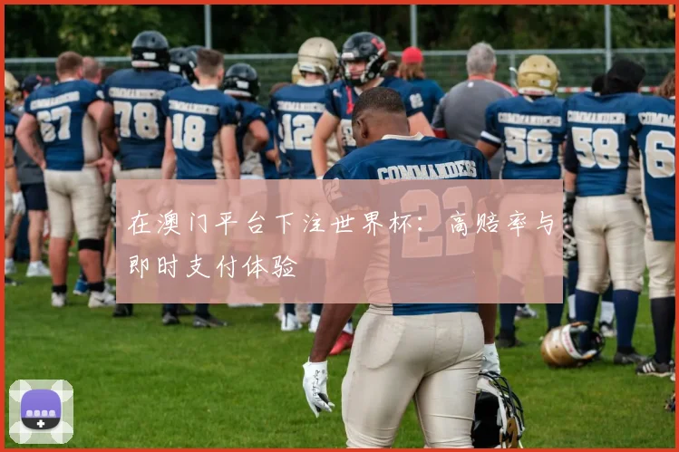 在澳门平台下注世界杯：高赔率与即时支付体验