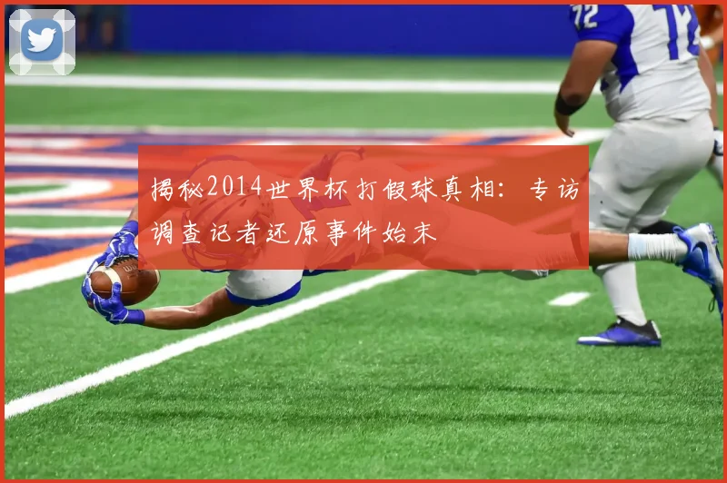 揭秘2014世界杯打假球真相：专访调查记者还原事件始末