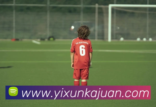 多多国际app下载官网平台生态图